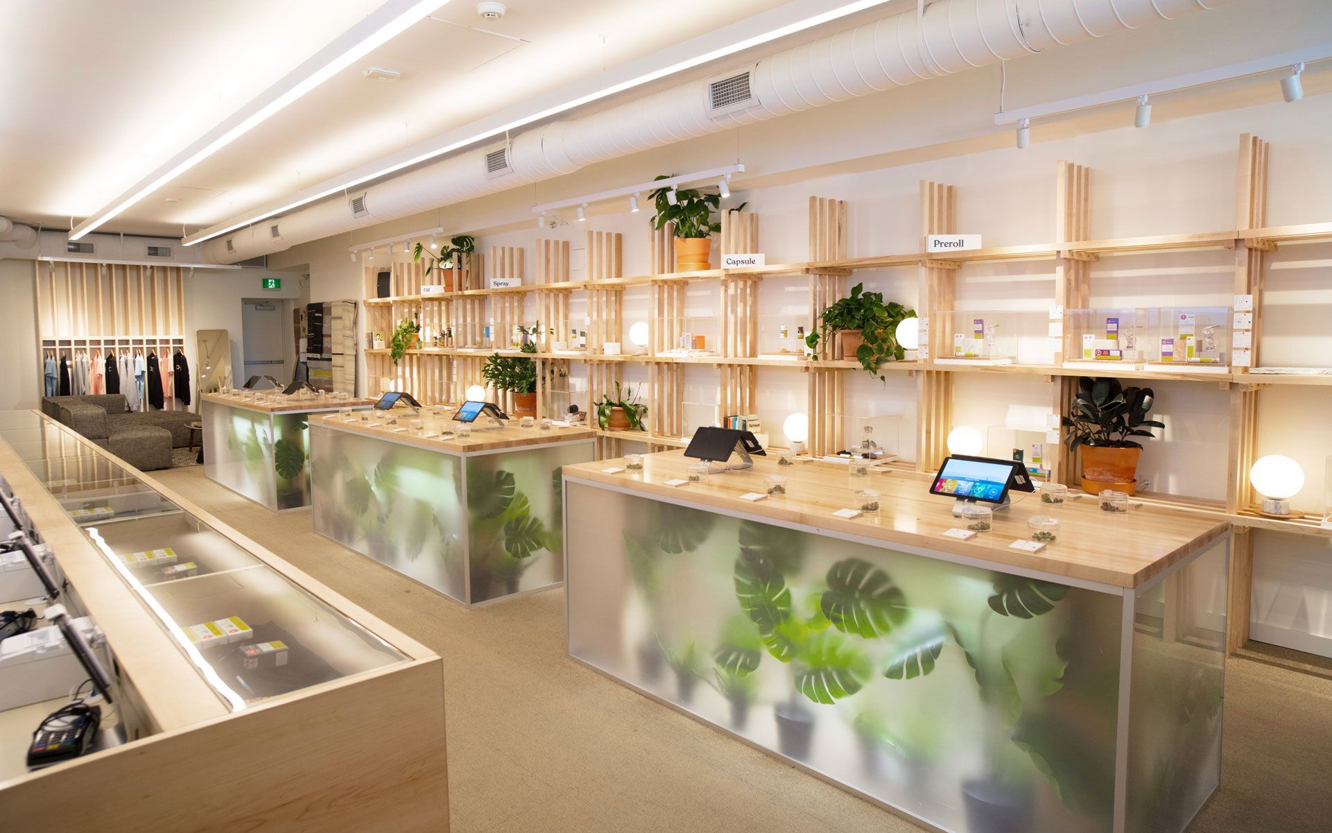 Dutch Love Cannabis  Recreational Cannabis Stores