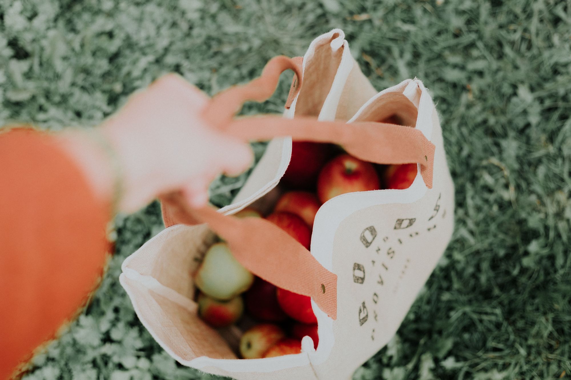 apples in canvas bag